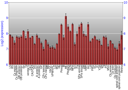 Expression graph