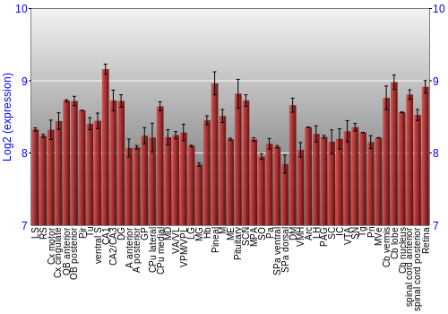 Expression graph
