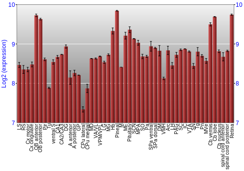 Expression graph