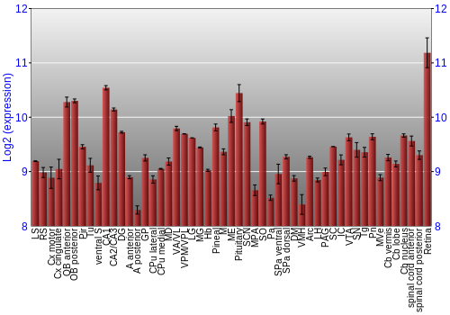 Expression graph
