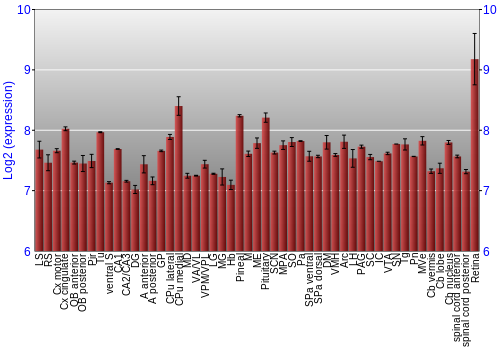 Expression graph