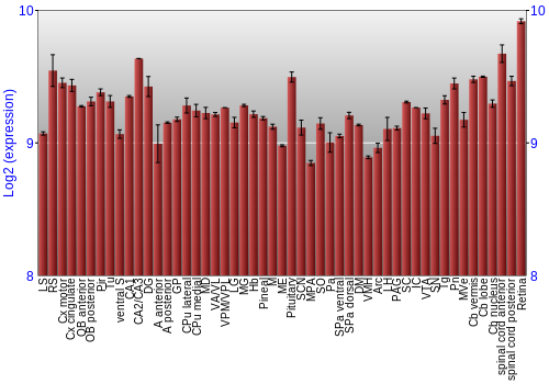 Expression graph
