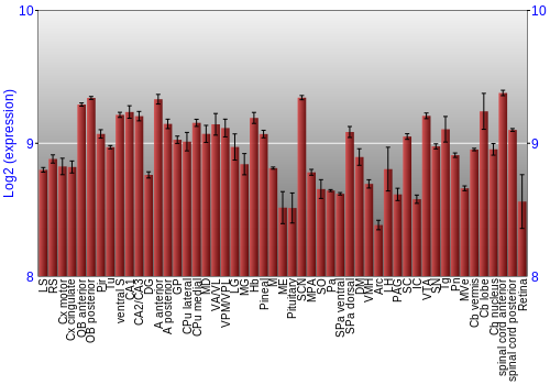 Expression graph