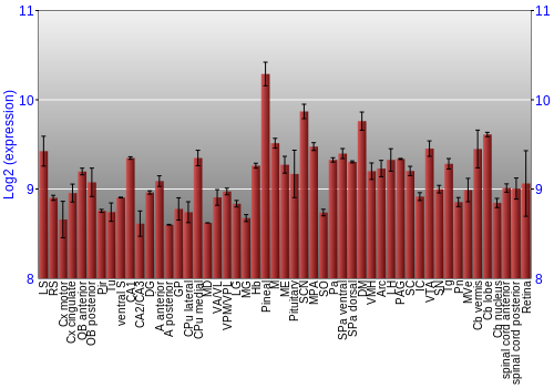 Expression graph