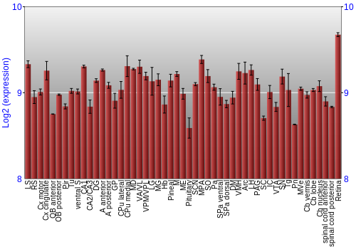 Expression graph