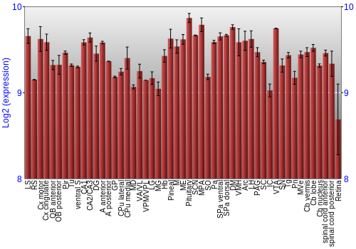 Expression graph