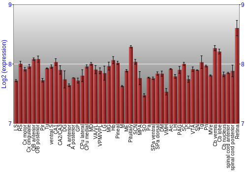 Expression graph