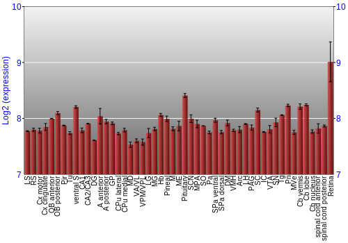 Expression graph