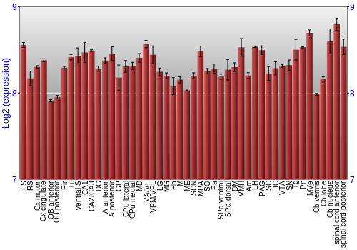 Multi-state expression graph