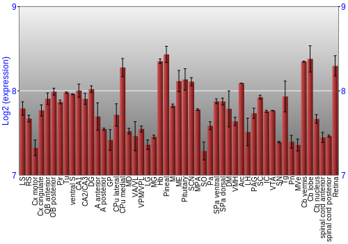 Expression graph