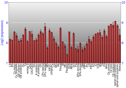 Expression graph