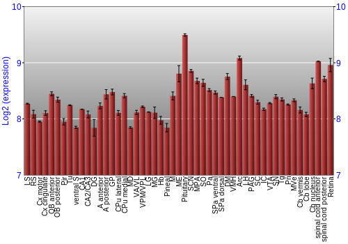 Expression graph