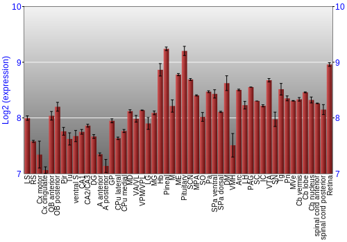 Expression graph