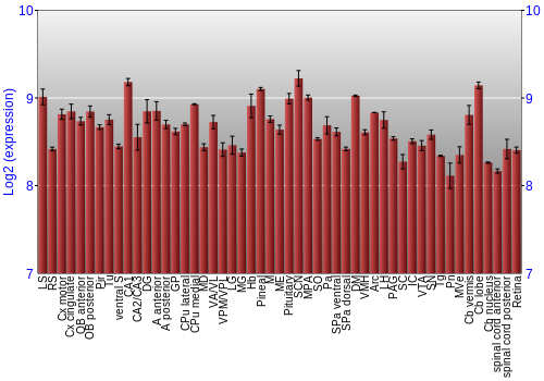 Expression graph