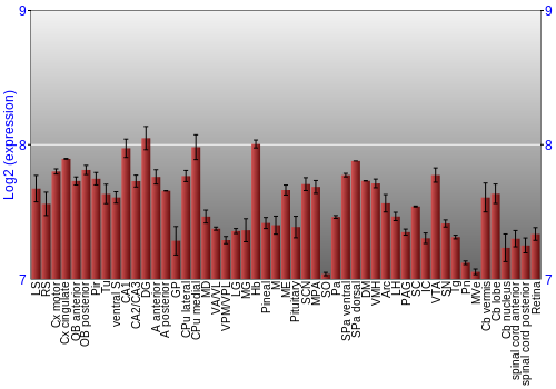 Expression graph