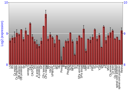 Expression graph