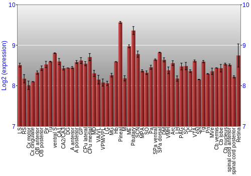 Expression graph