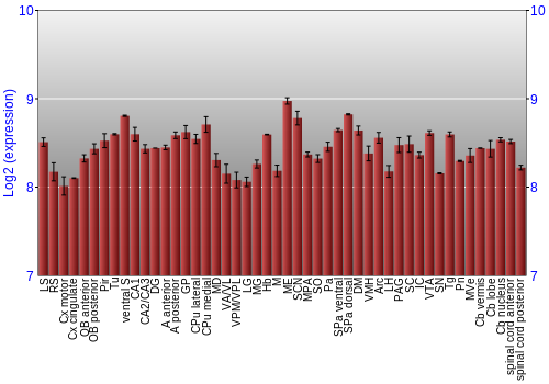 Multi-state expression graph