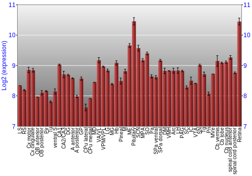 Expression graph