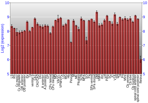 Expression graph
