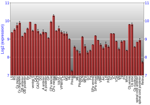 Expression graph