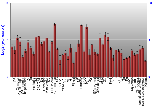 Expression graph