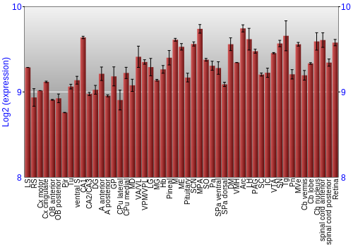 Expression graph
