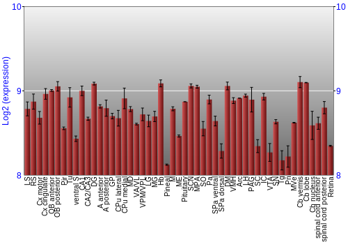 Expression graph