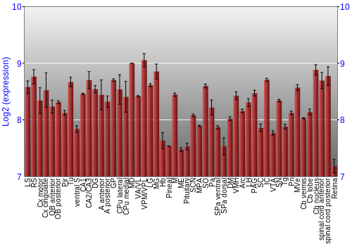 Expression graph