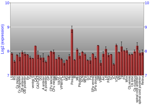 Expression graph