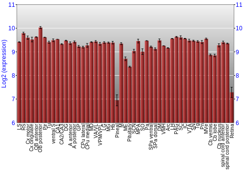 Expression graph