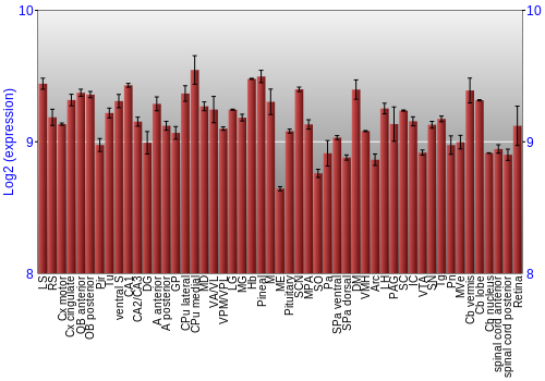 Expression graph