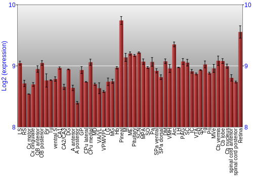 Expression graph