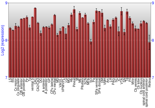 Expression graph