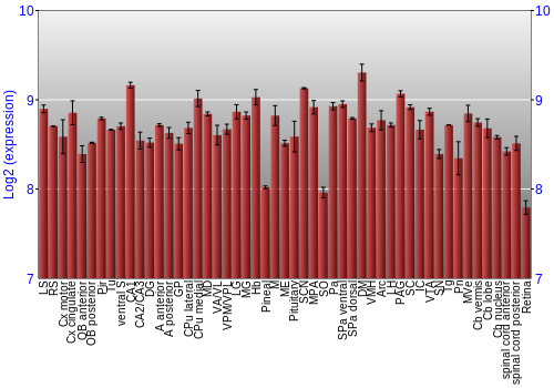 Expression graph