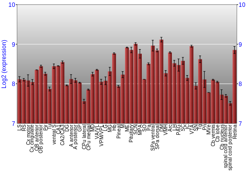 Expression graph