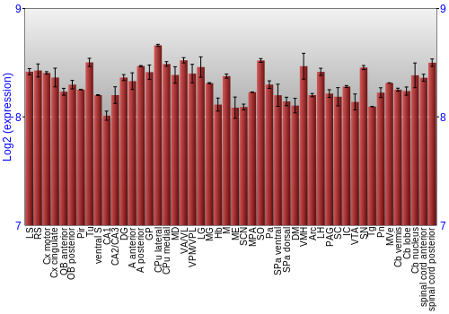 Multi-state expression graph