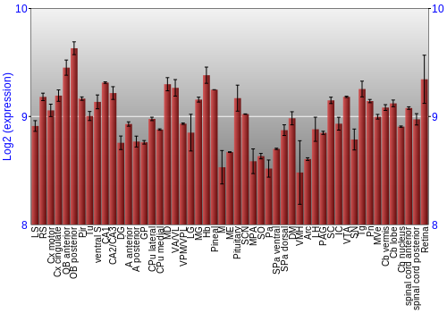 Expression graph