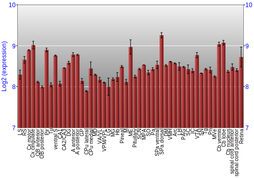 Expression graph