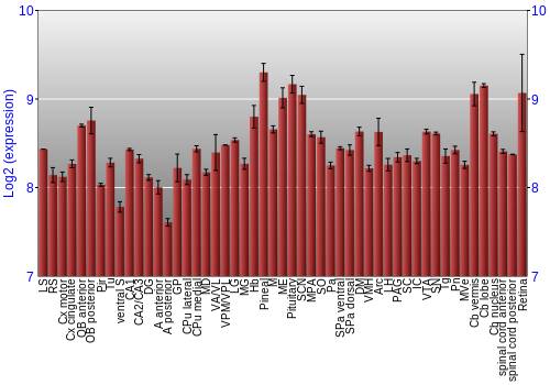 Expression graph