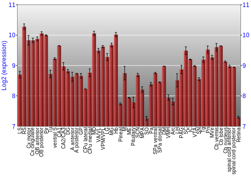 Expression graph