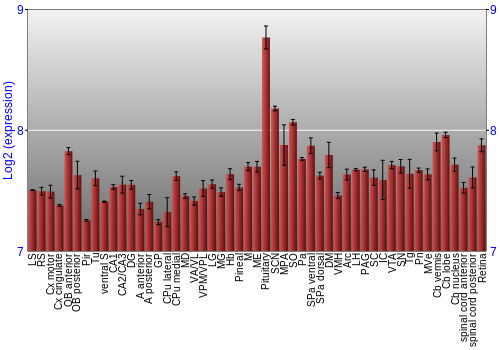 Expression graph