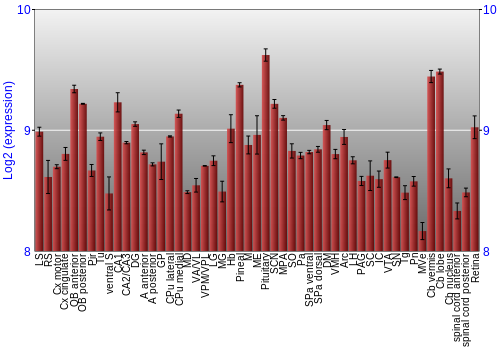 Expression graph