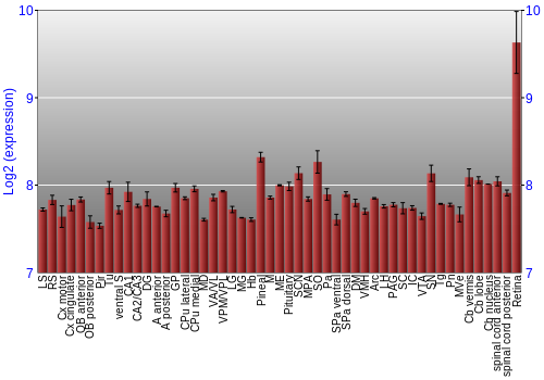 Expression graph