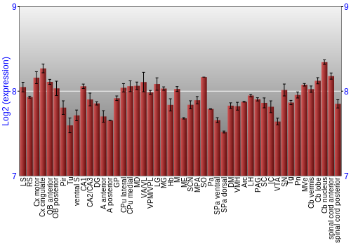 Multi-state expression graph