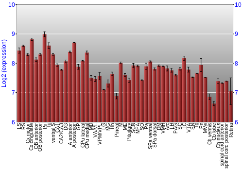 Expression graph