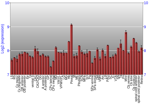Expression graph