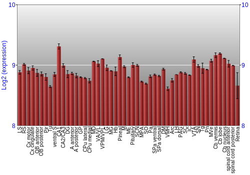 Expression graph