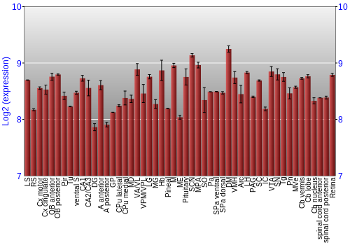 Expression graph