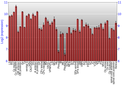 Expression graph